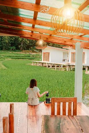 chom na kiang doi