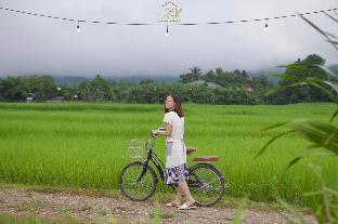 chom na kiang doi