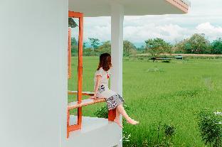 chom na kiang doi