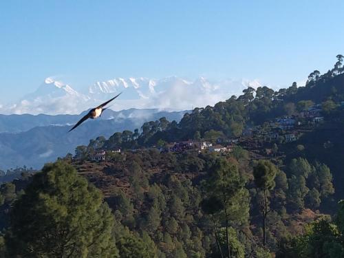 Himalaya View,,4 star