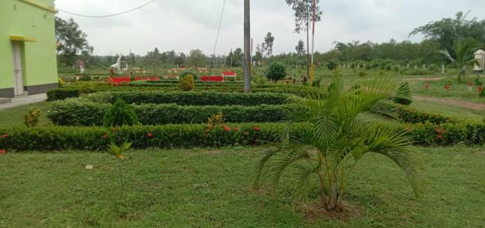 hotel olivia and resort