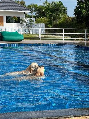 For Paws Dog Camp,,3 star