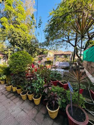 hotel new sun n rock 1km from nakki lake