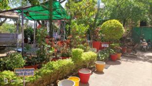 hotel new sun n rock 1km from nakki lake