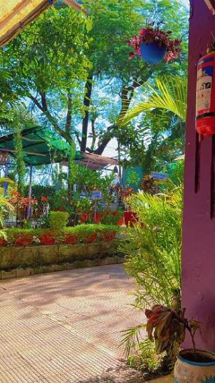 hotel new sun n rock 1km from nakki lake