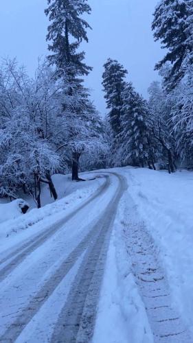 gulmarg
