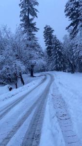 gulmarg
