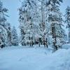 gulmarg