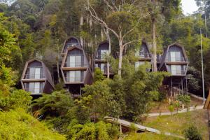 vanavasa resort