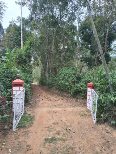 coorg klusters estate stay