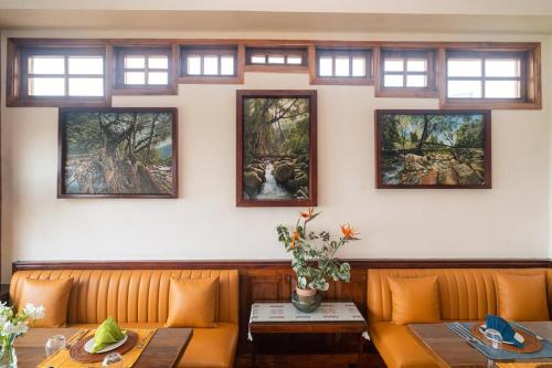 the shillong address