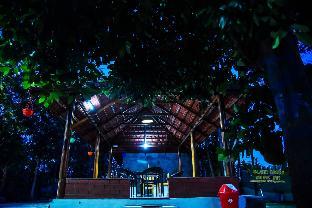 green island nature stay