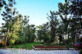 green island nature stay