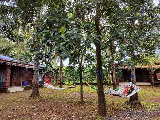 saka kadams home stay