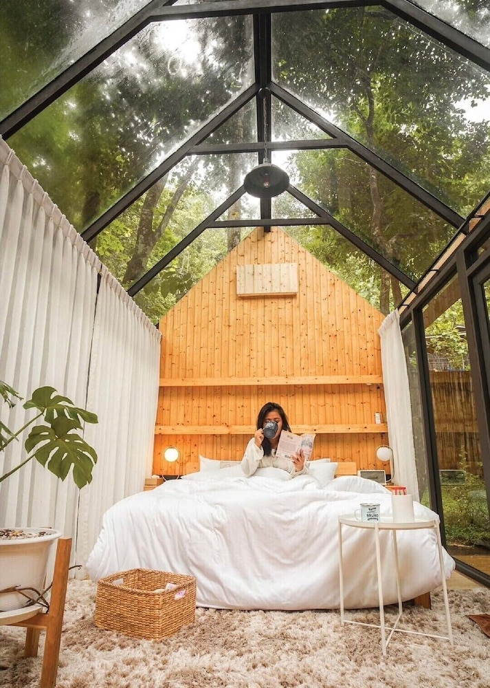 morning star glamping