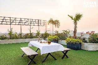 stayvista at cityscape with rooftop pool jaipur