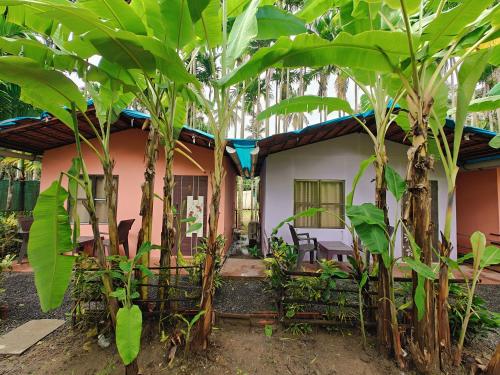 baadal pani the beach resort