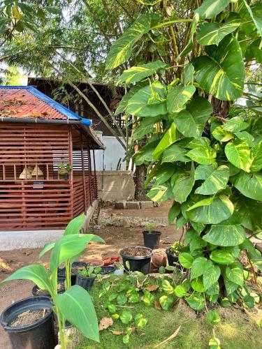 bava beach resort and retreat center varkala