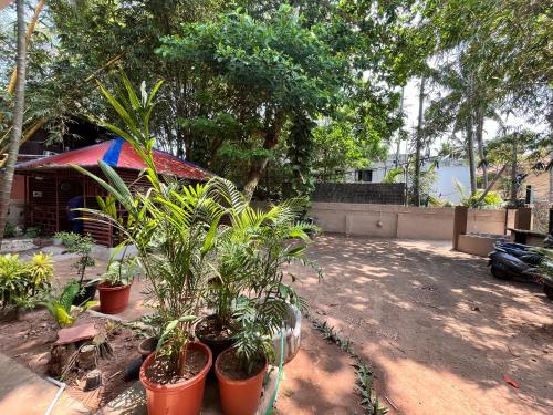 bava beach resort and retreat center varkala