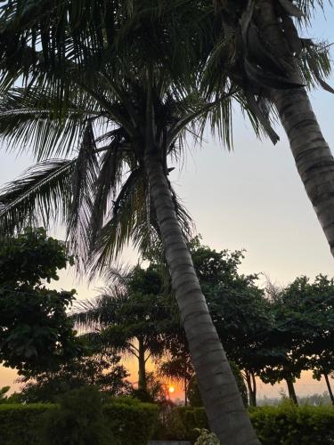 tekri farms and retreat