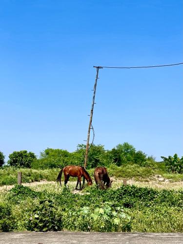 tekri farms and retreat