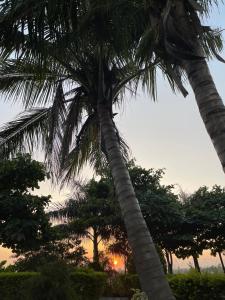 tekri farms and retreat