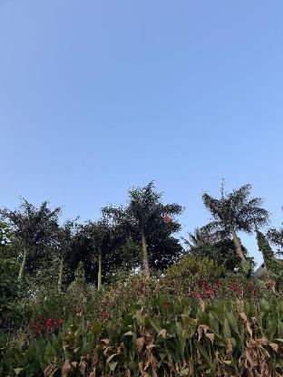 tekri farms and retreat