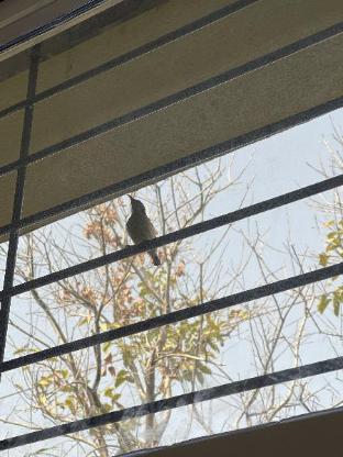 tekri farms and retreat