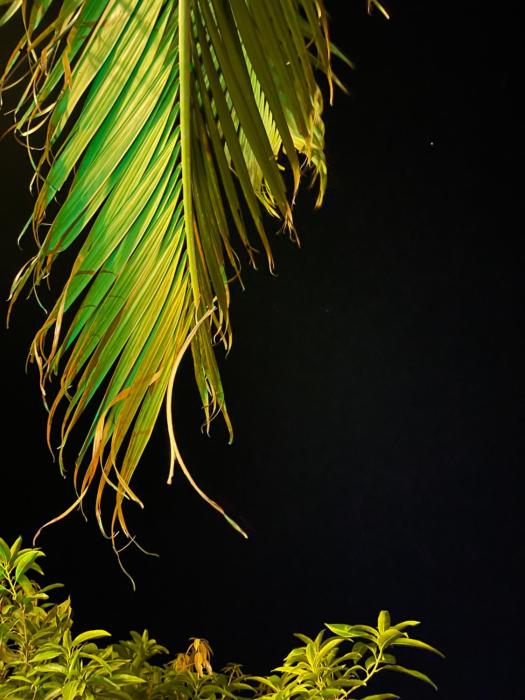 tekri farms and retreat