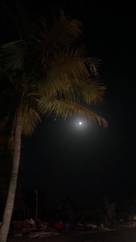 tekri farms and retreat