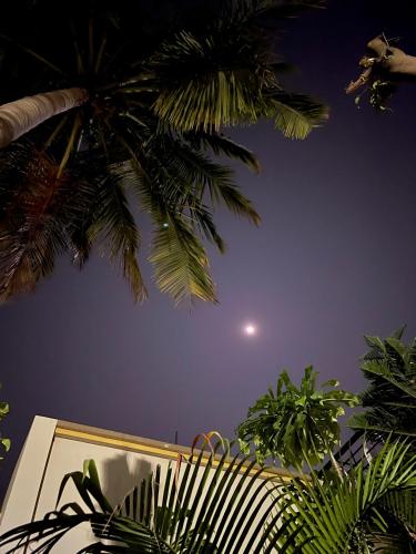 tekri farms and retreat