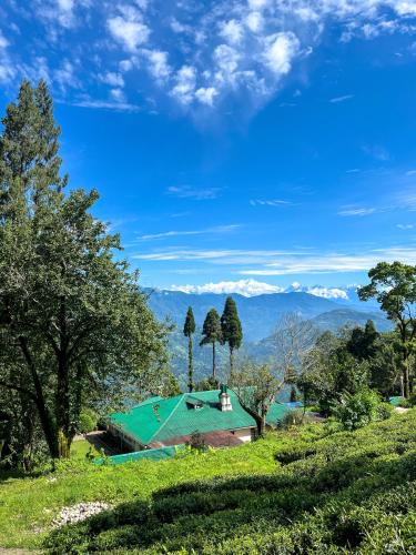 Yule Tea Retreat,,5 star