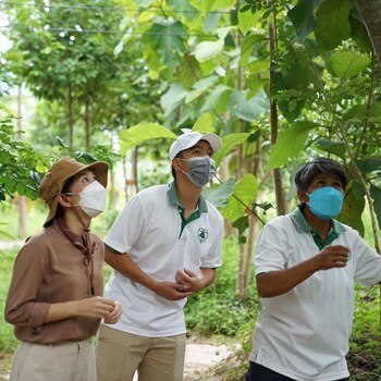 eco eyes village
