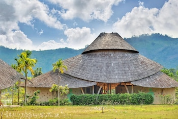 eco eyes village