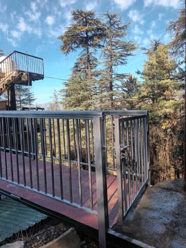 him aaranya homestay shimla