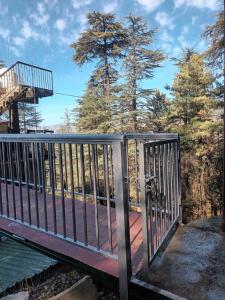 him aaranya homestay shimla