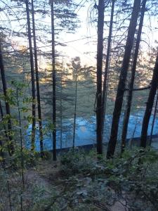 him aaranya homestay shimla