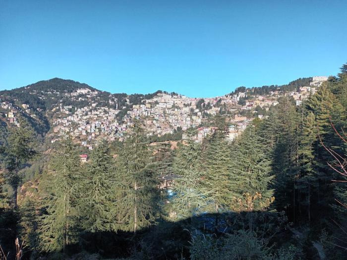 him aaranya homestay shimla