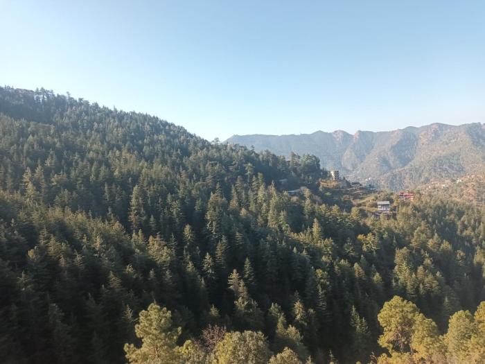 him aaranya homestay shimla