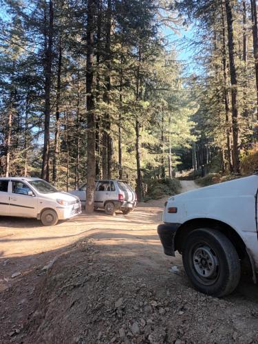 him aaranya homestay shimla