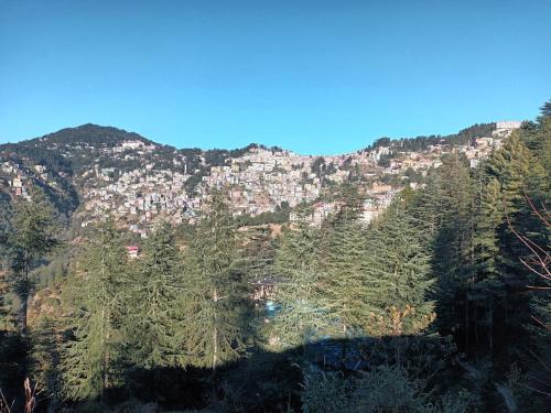 him aaranya homestay shimla