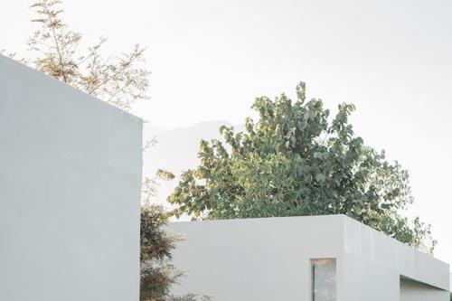 mist villa