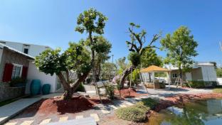 duck house hostel and resort khonkaen