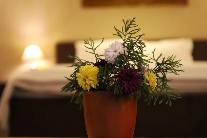 bastar greens eco stays