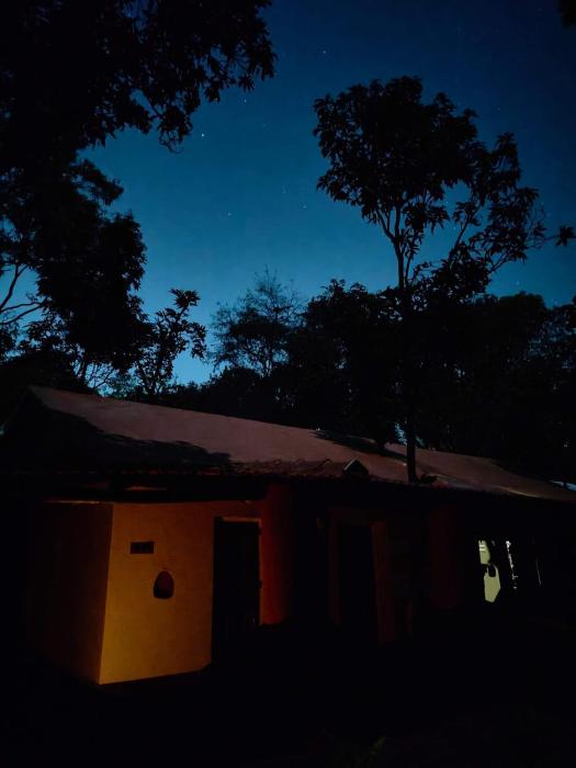 bastar greens eco stays