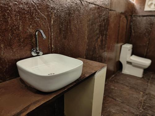 bastar greens eco stays