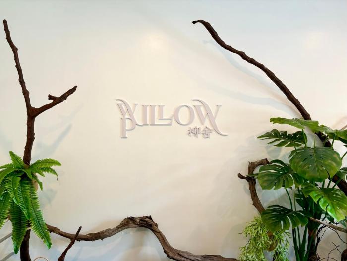 willow pillow
