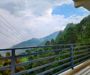 wonder inn kasauli