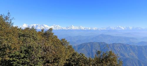 the himalayan heaven homestay binsar
