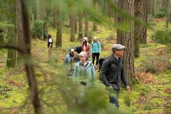 the himalayan heaven homestay binsar